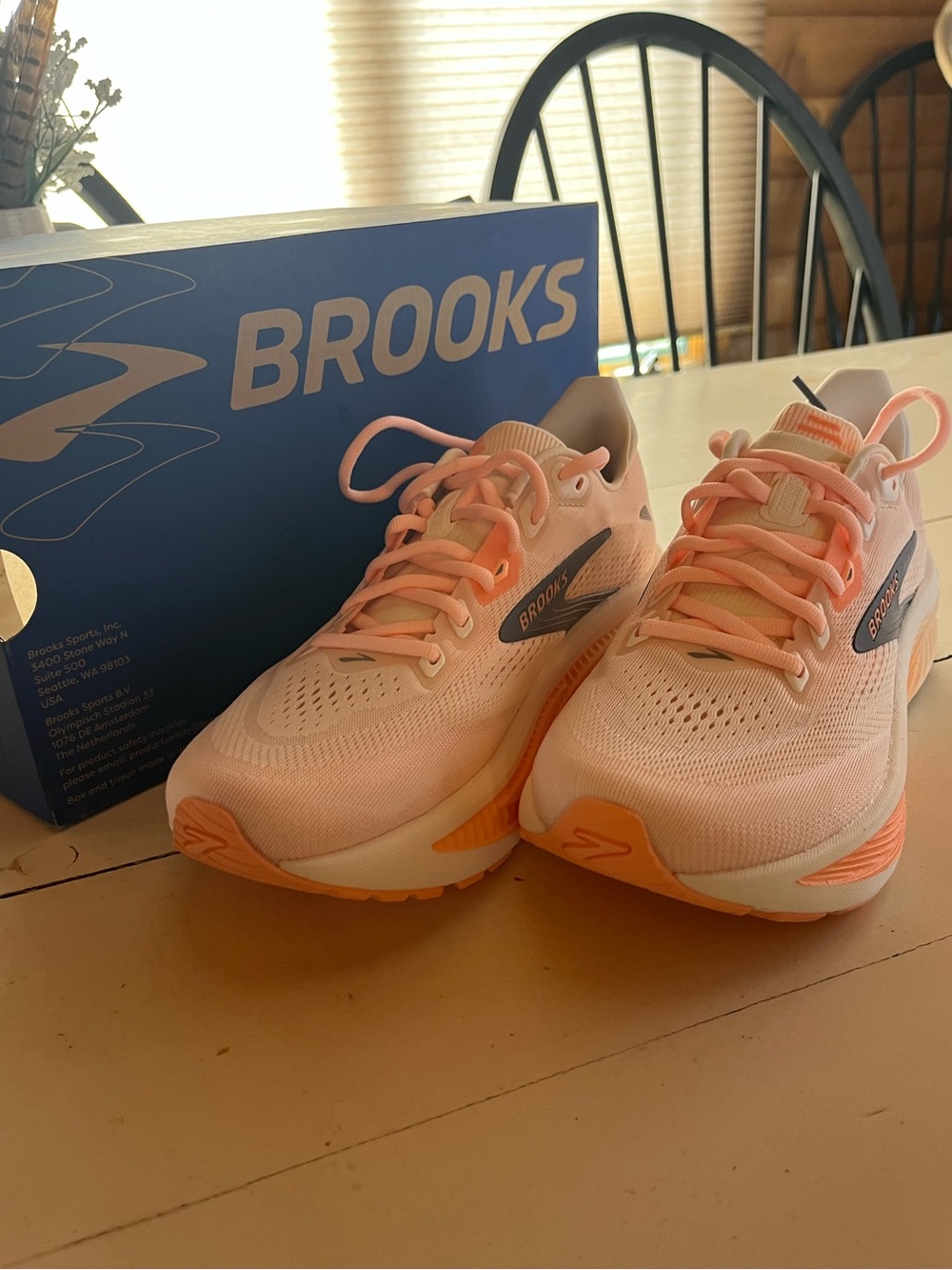 Brooks Women's Ghost 18